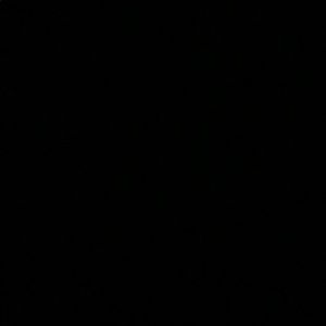 Meet your Posher, Ava